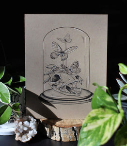 Coyote Skull & Butterfly Dome Print