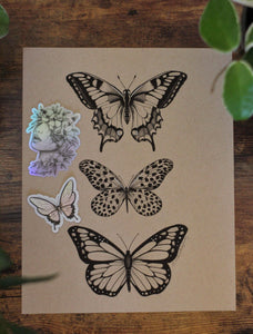 Butterfly Print Pack